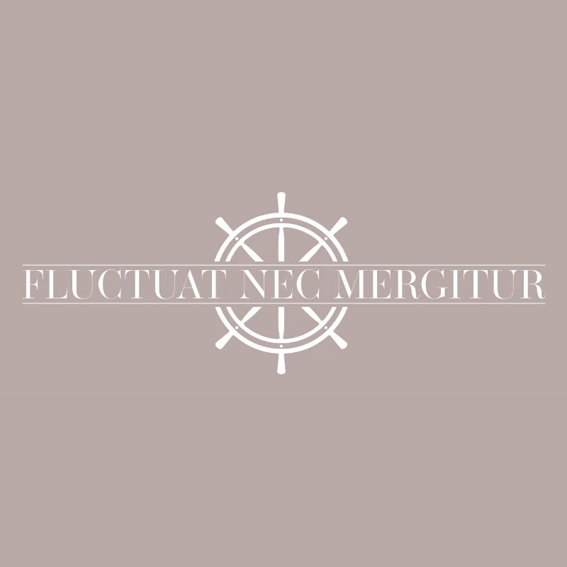 Fluctuat nec mergitur