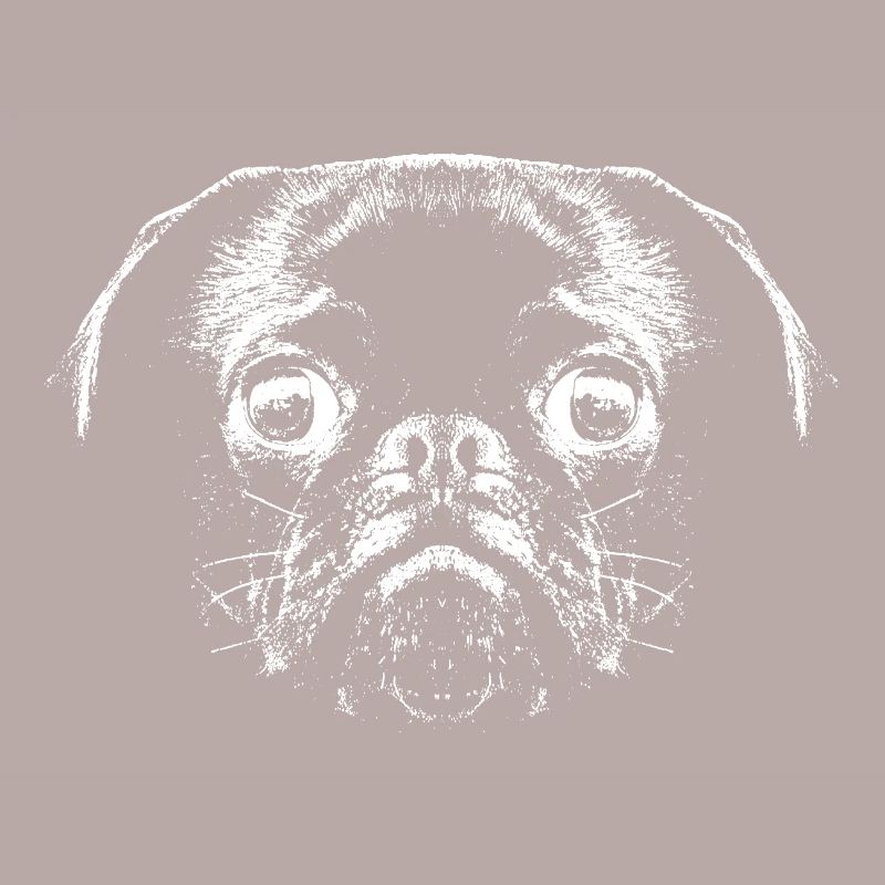 Pug / Face / Head