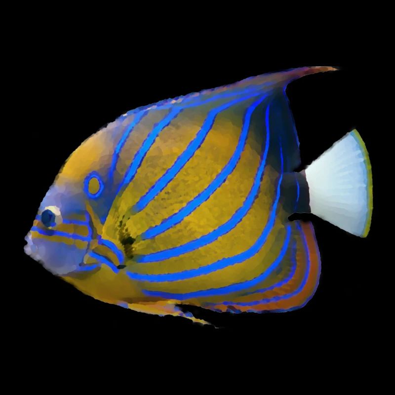 fish tropical