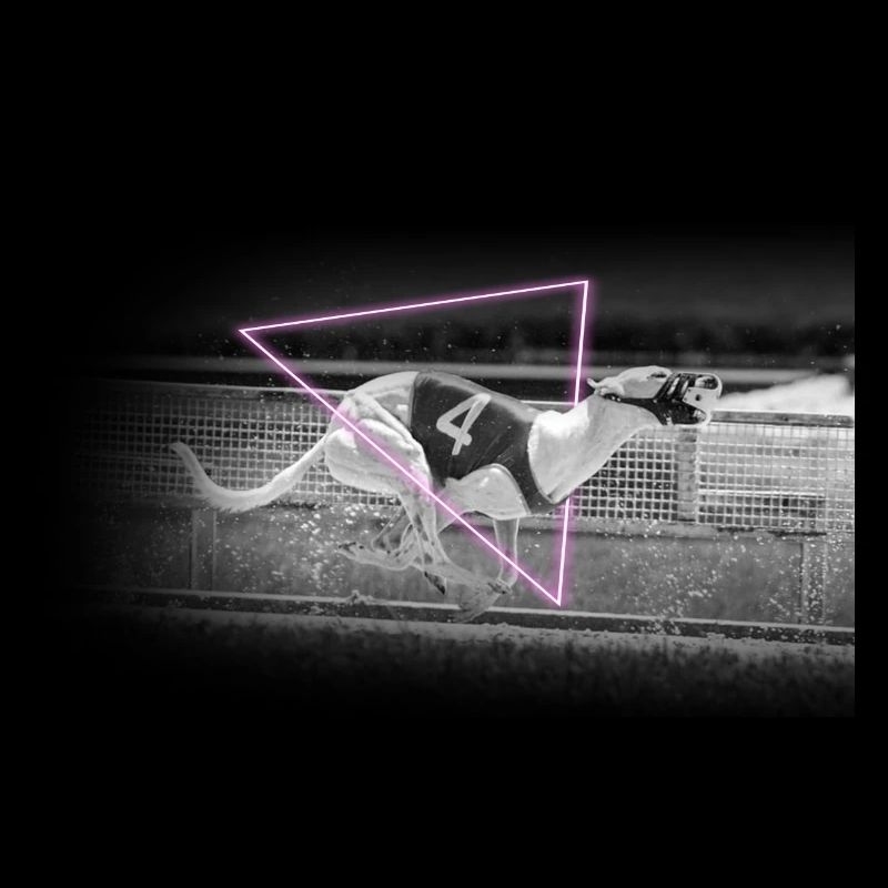 Racing Greyhound Mid Sprint In Neon Triangle