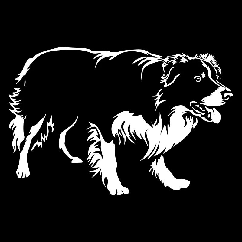 Border Collie "Black Edition"