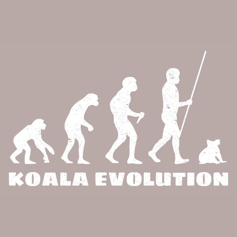 Évolution du koala