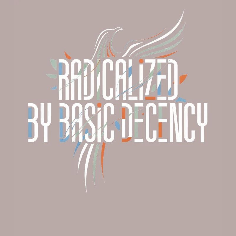 Radicalized by Basic Decency Shirt for Activists
