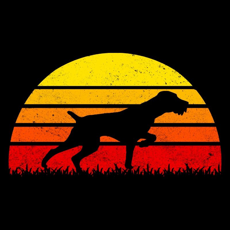 Drahtharr Jagdhund Sonnenuntergang Hunde