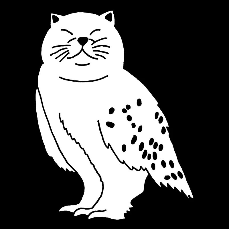 Eule Katze