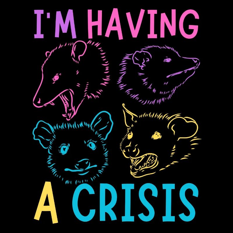 Possum Meme I'm Having A Crisis Opossum