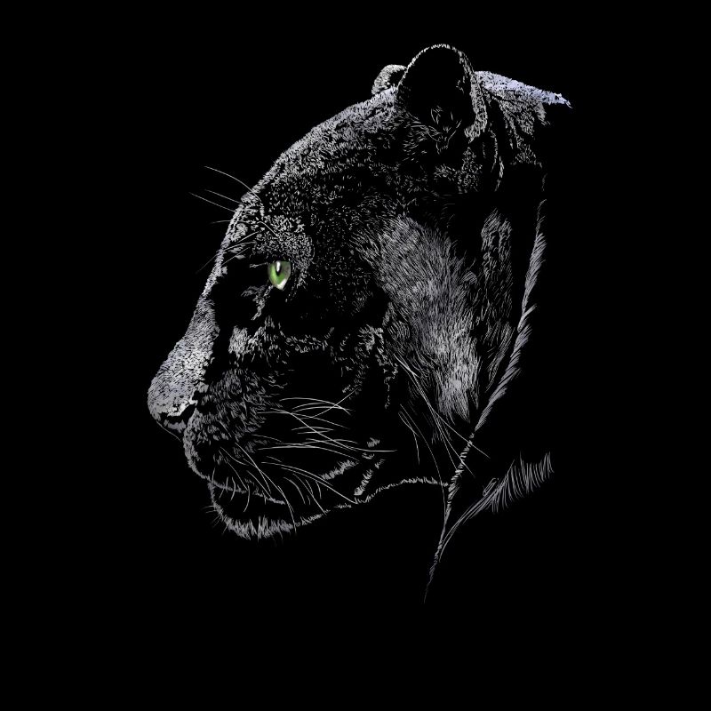 Panther