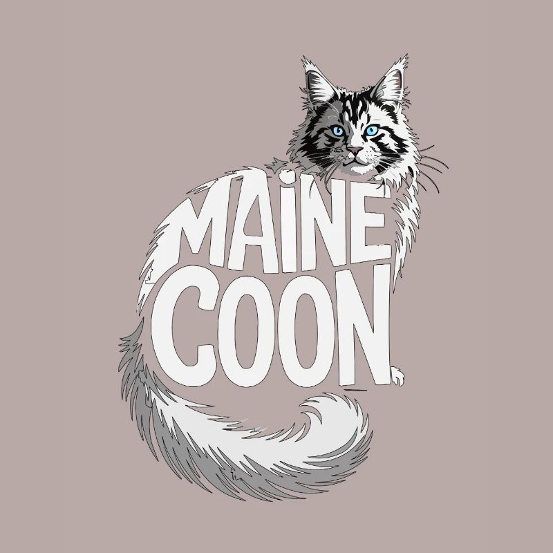 Maine Coon Cat Illustration Design