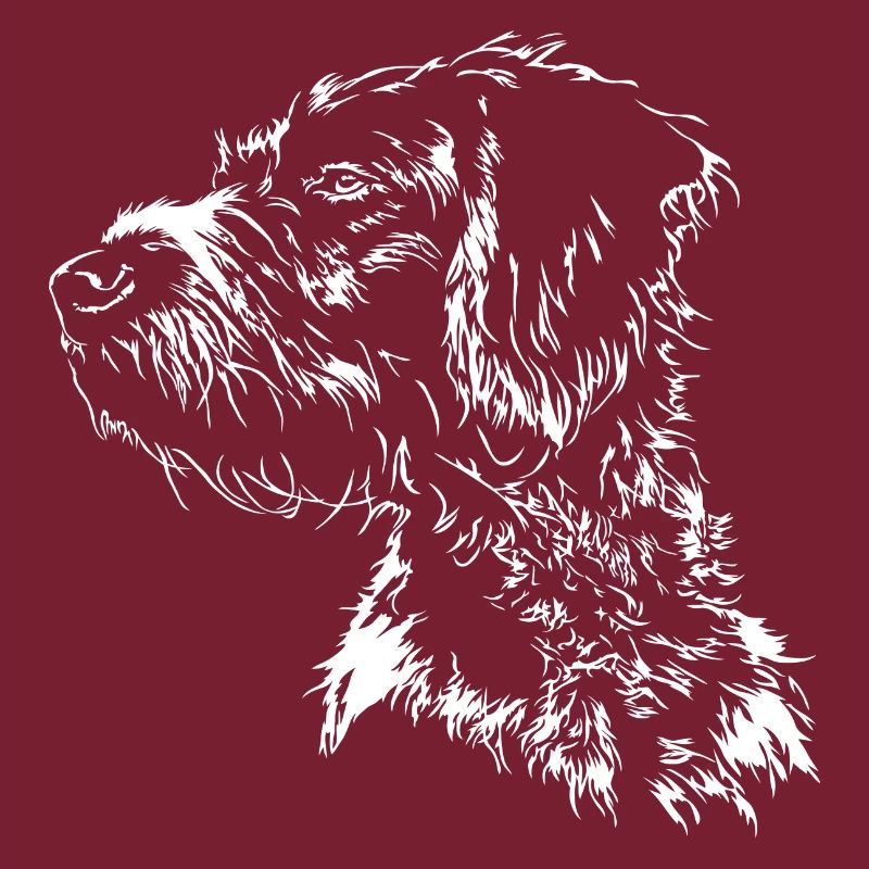 DEUTSCH DRAHTHAAR Wilsigns Jagdhund Jagdhunde