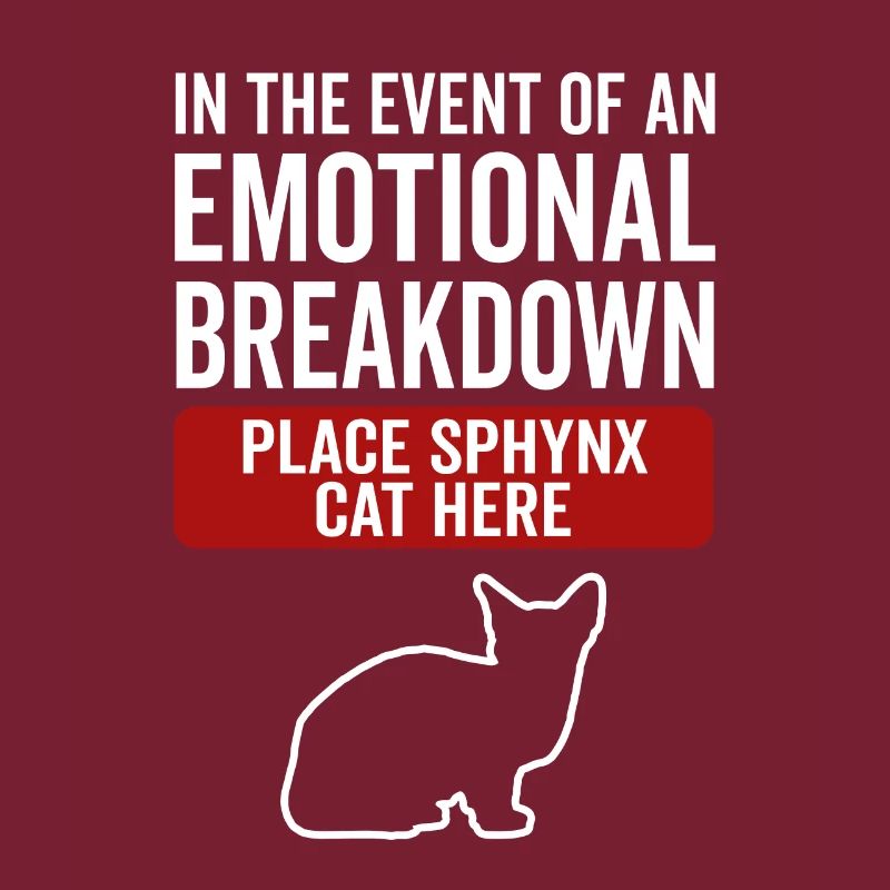 Émotionnel - Sphynx Cat