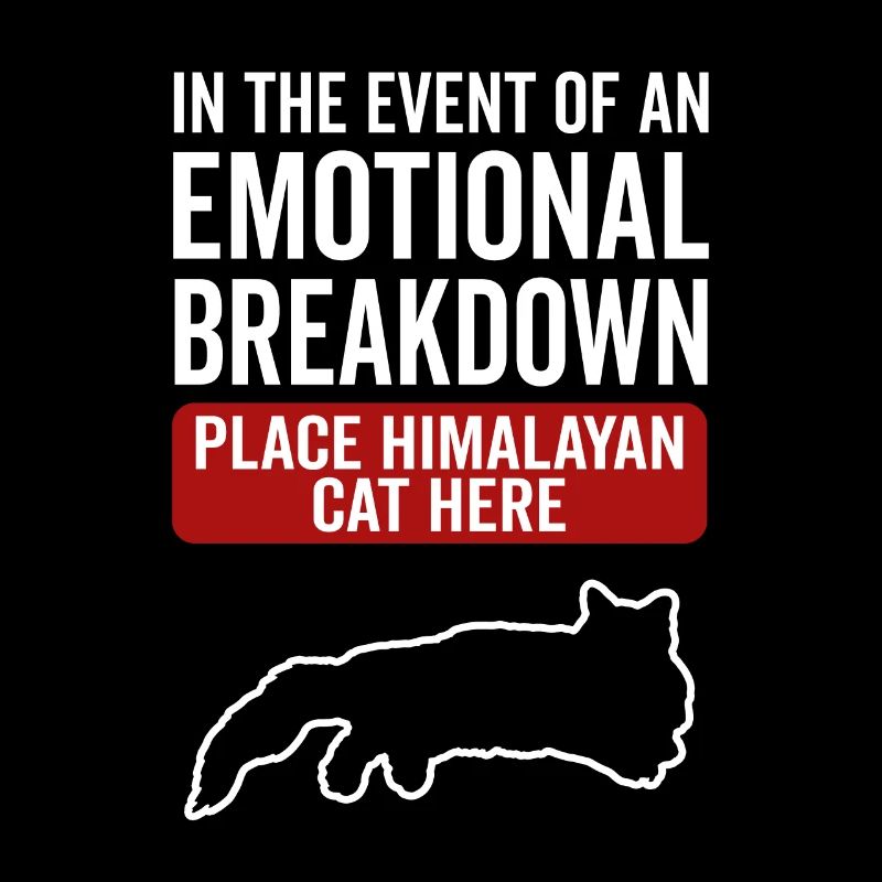 Émotionnel - Chat himalayen