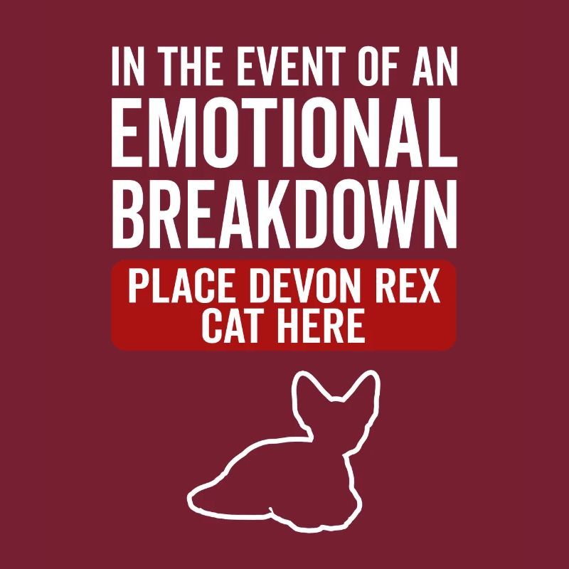 Emotional - Devon Rex Cat