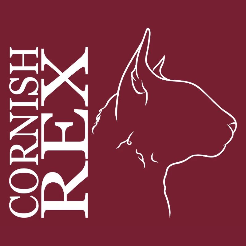 Cornish Rex Profil Chat Cat Wilsigns