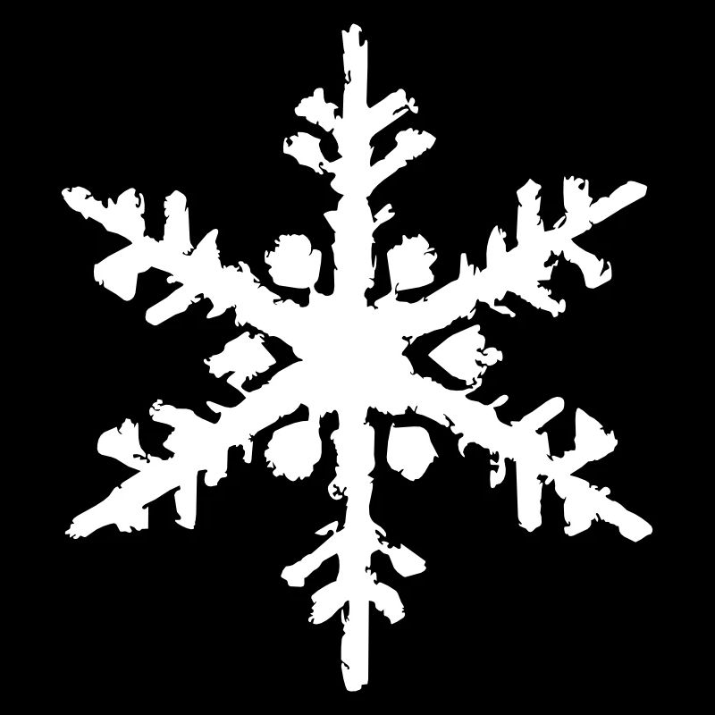 Snowflake Snow Winter Christmas Vector 13