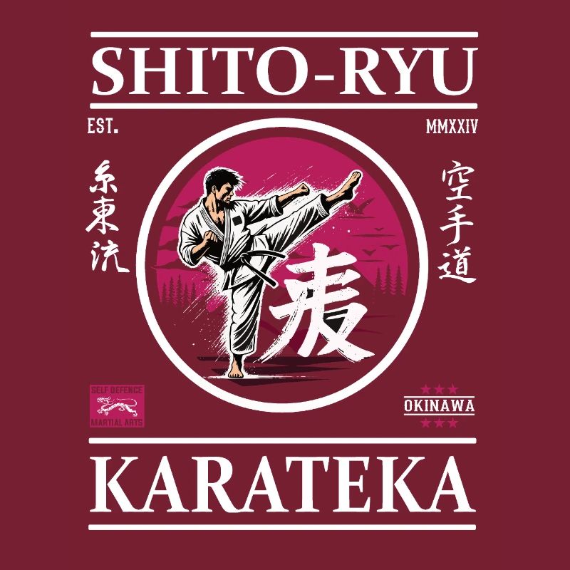 Karatéka Shito-Ryu – Maître de la précision