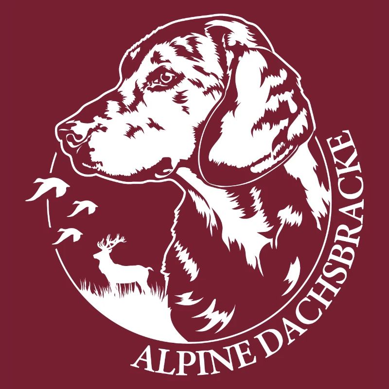 ALPINE DACHSBRACKE Hundeportrait Jagdhund Wilsigns