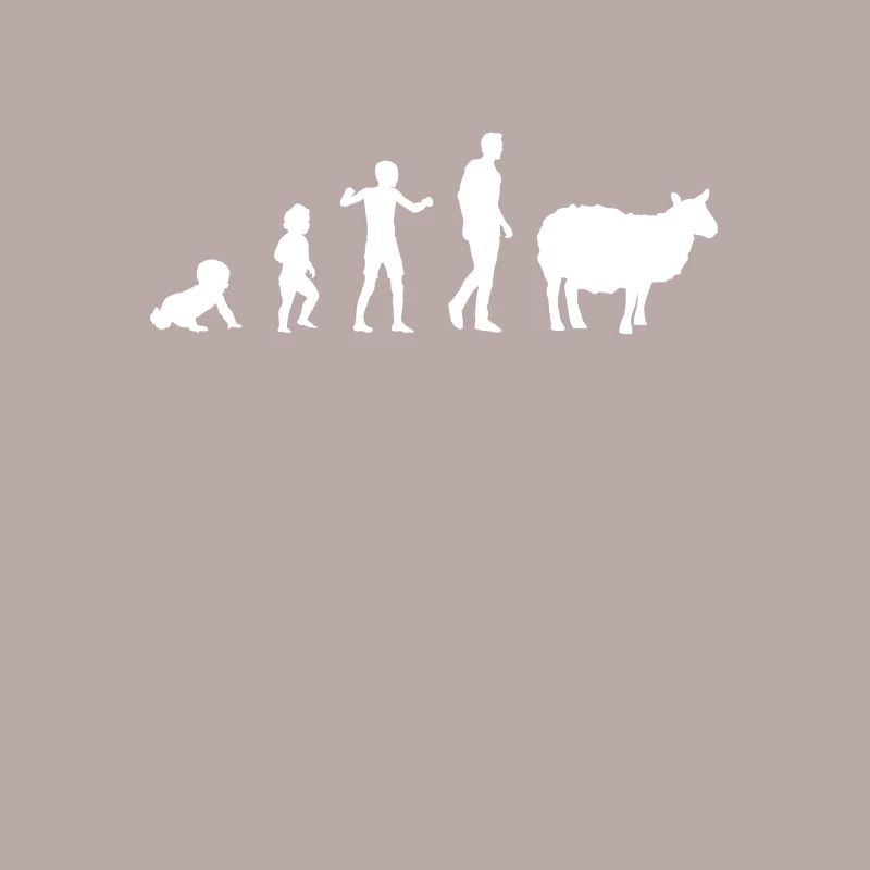 evolution bebe sheep humor sheep breeder
