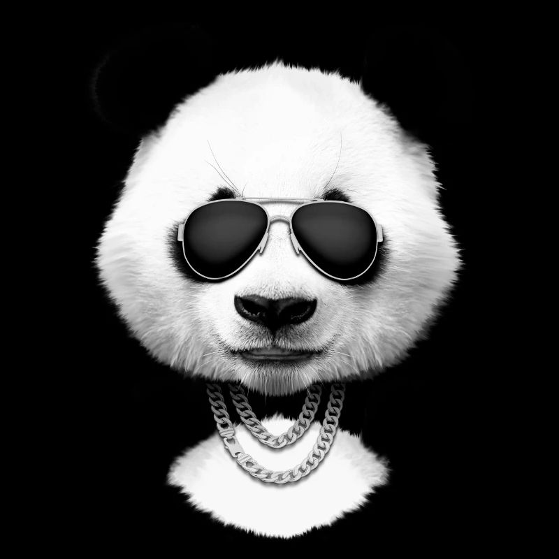 Panda in Schwarz