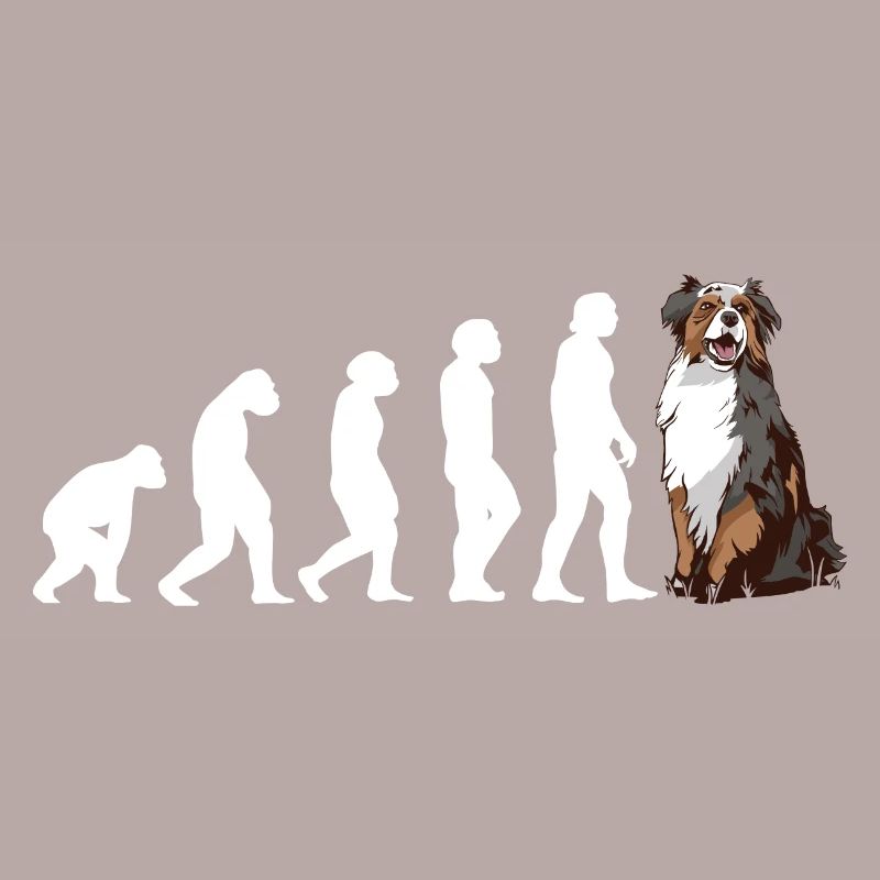 Dog Evolution Aussie