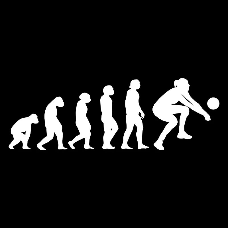 Sport Evolution Volleyball