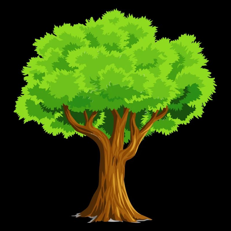 baum tree baumstamm wald forest woods33