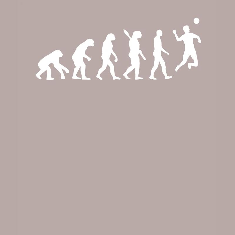 Faustball Evolution