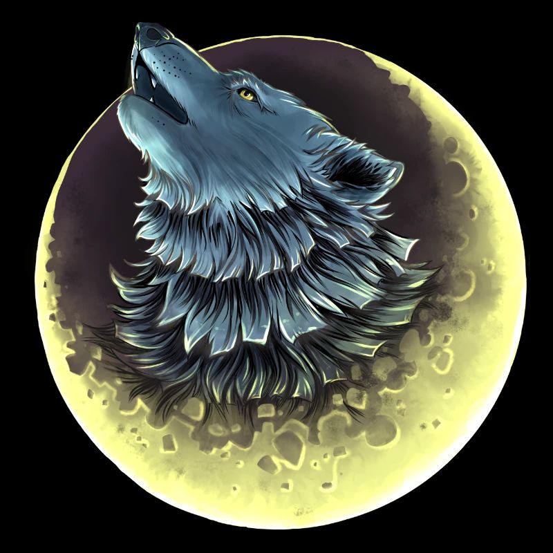 Wolf Canis Lupus