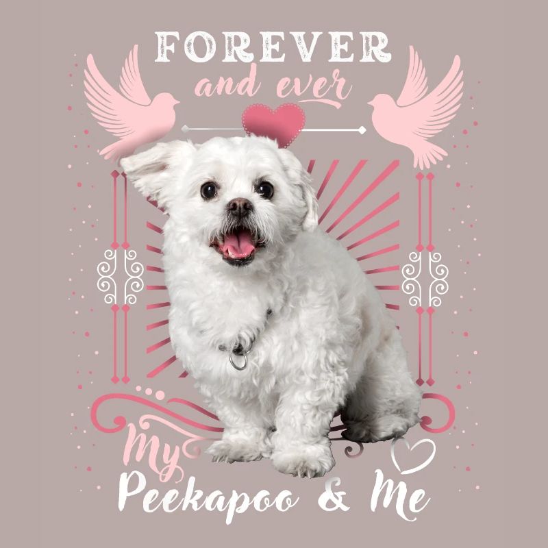 Peekapoo, Hund, Forever-Love, lustiger Spruch