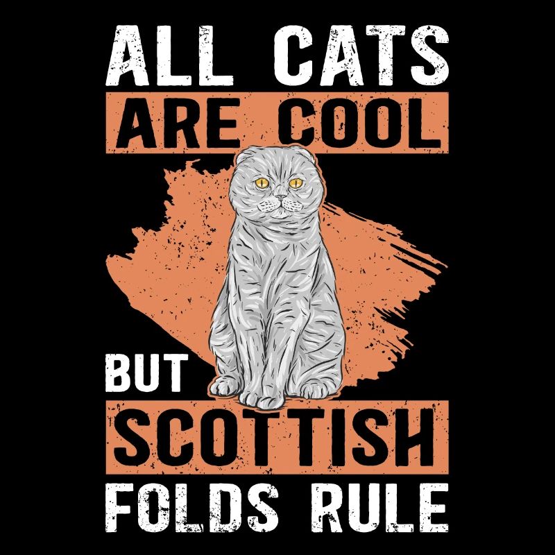 Scottish Folding Ear Cat Cadeau Scottish Fold