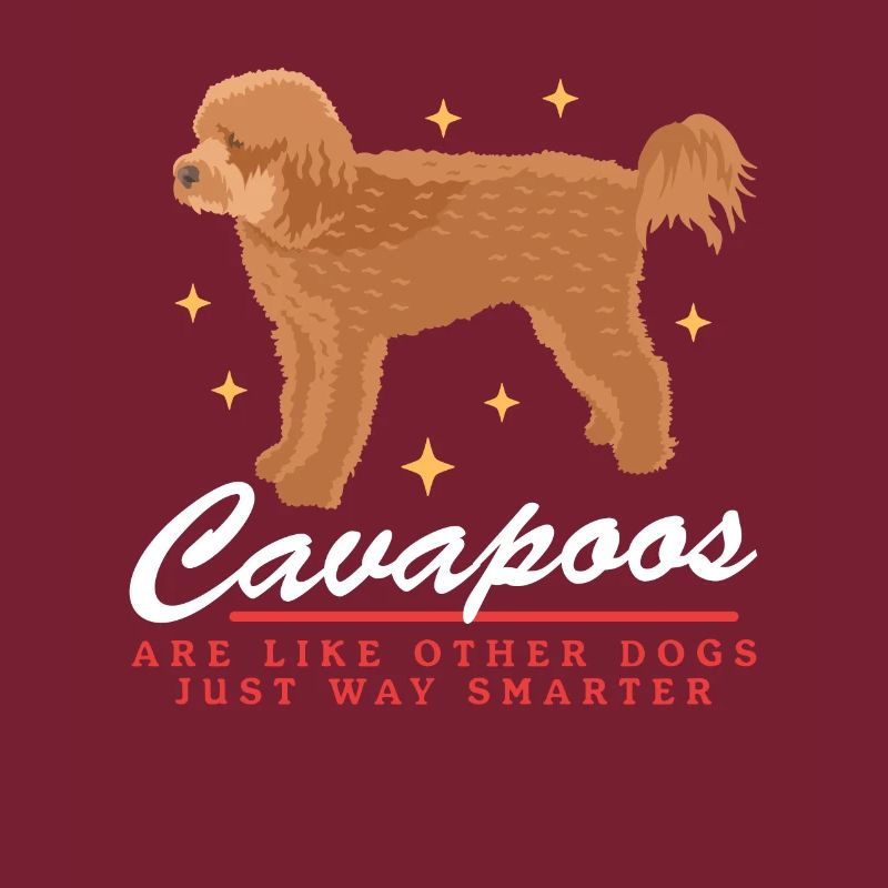 Chiens Cavapoo | Cadeau du propriétaire de chien Cavoodle
