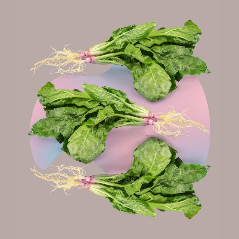 Spinach, fresh spinach spinach leaf spinach