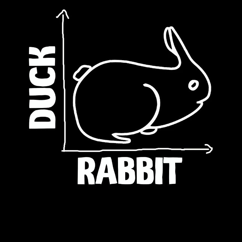 Wittgenstein lapin canard illusion