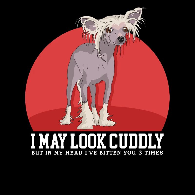 Chinesische Schopfhunde Chinese Crested Geschenk