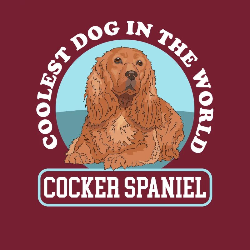 Cocker Spaniel Chien Cocker Spaniel Cadeau