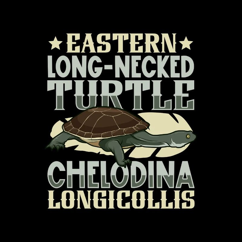 Flat-backed tortoise