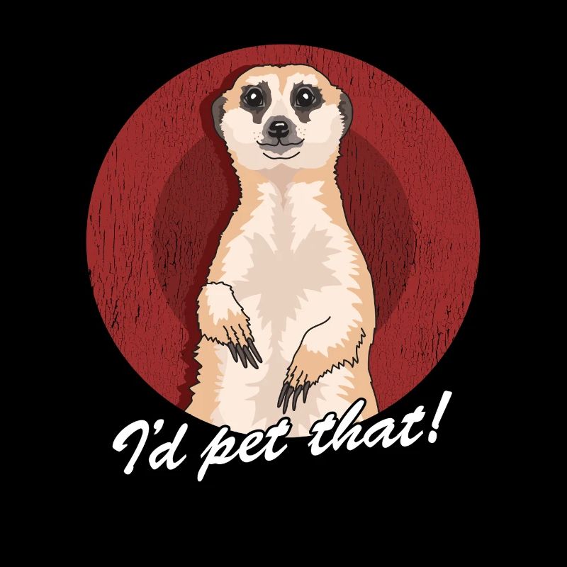 Suricate drôle suricate