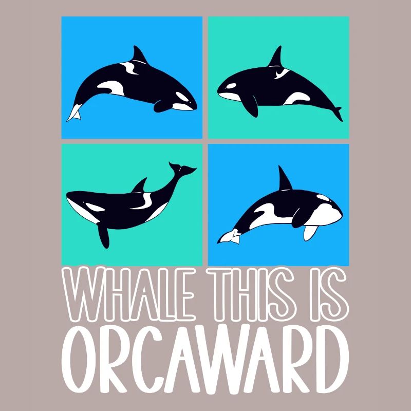 Wale Walbeobachter Orca
