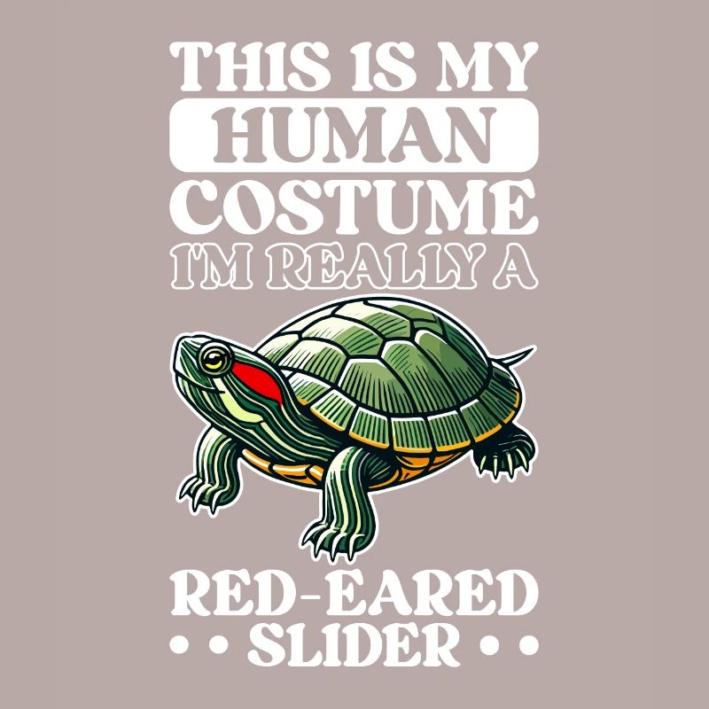 Turtle Red-eared Turtle