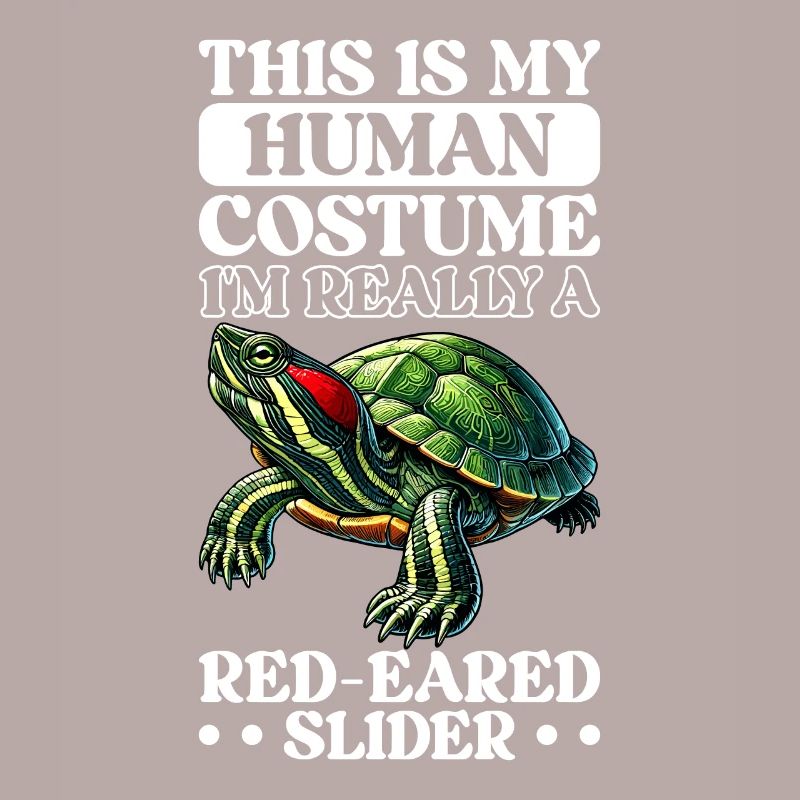 Turtle Red-eared Turtle