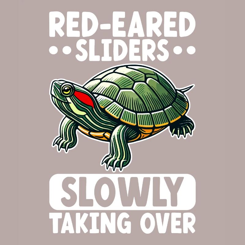Turtle Red-eared Turtle