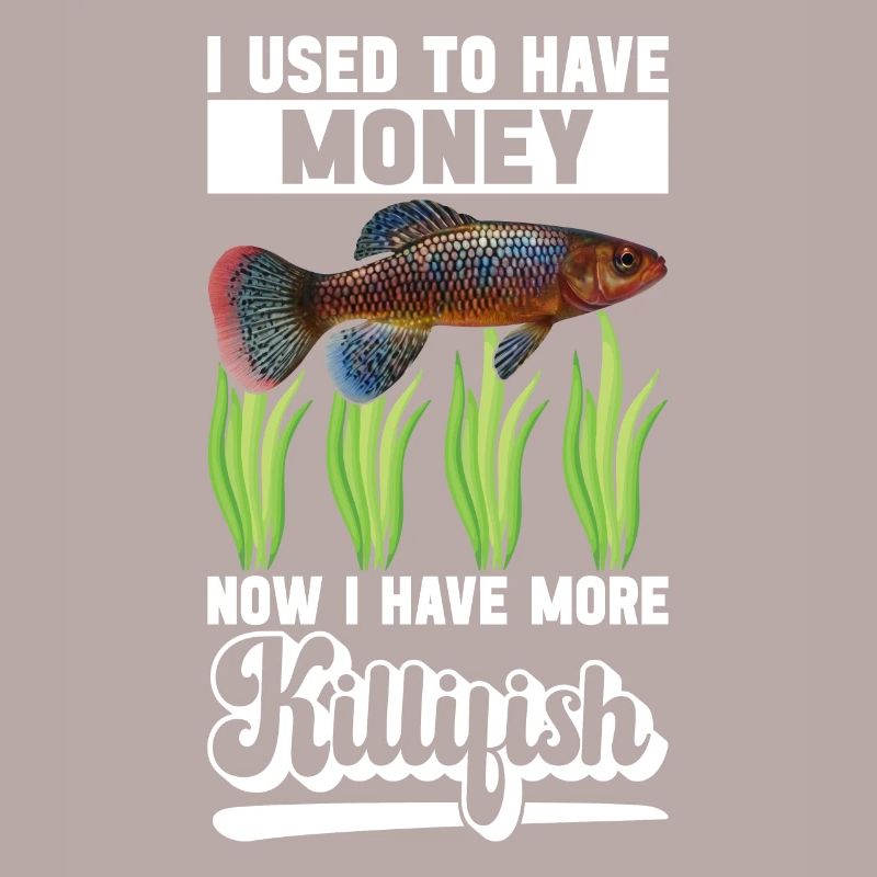 Killifish Quarium Fish
