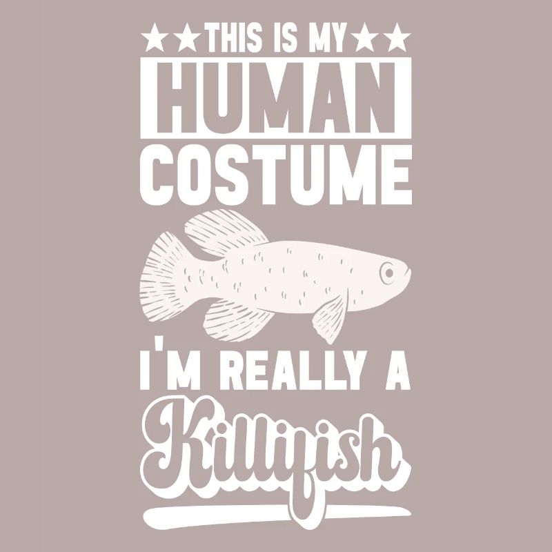 Killifish Quarium Fish