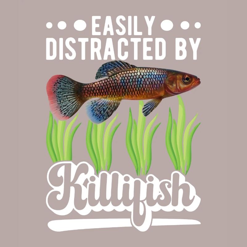 Killifish Quarium Fish