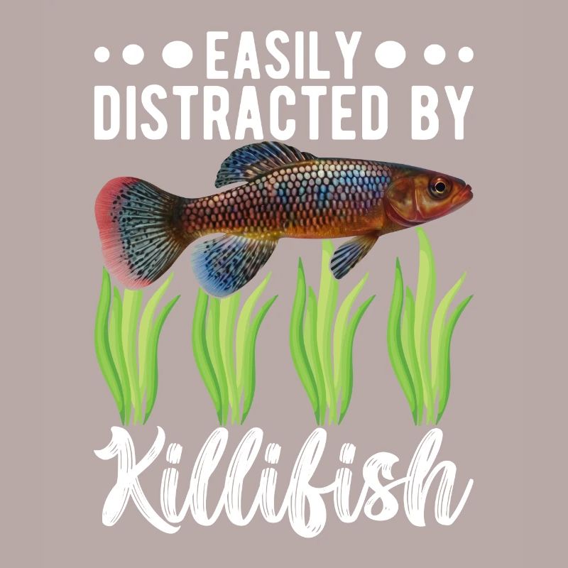 Killifish Quarium Fish