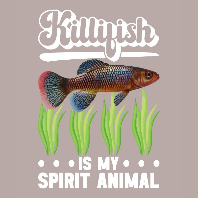 Killifish Quarium Fish