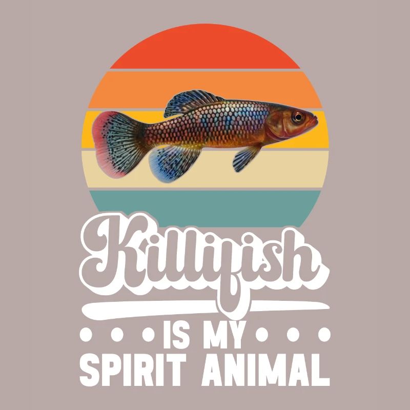 Killifish Quarium Fish