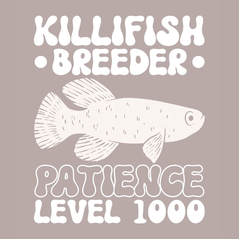 Killifish Quarium Fish