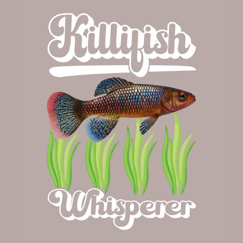 Killifish Quarium Fish