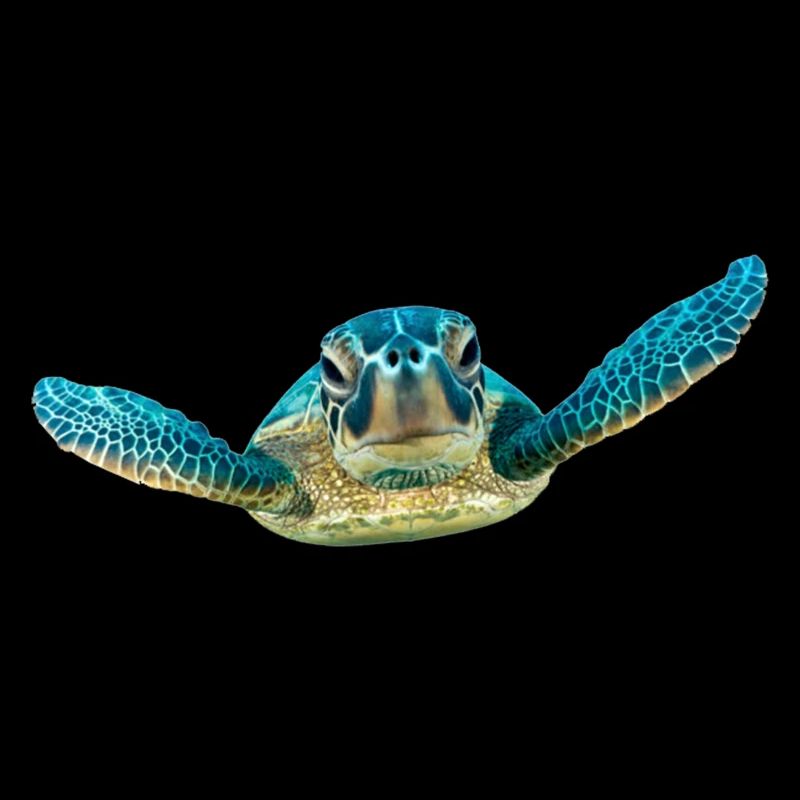turtle schildkroete tiere animals10