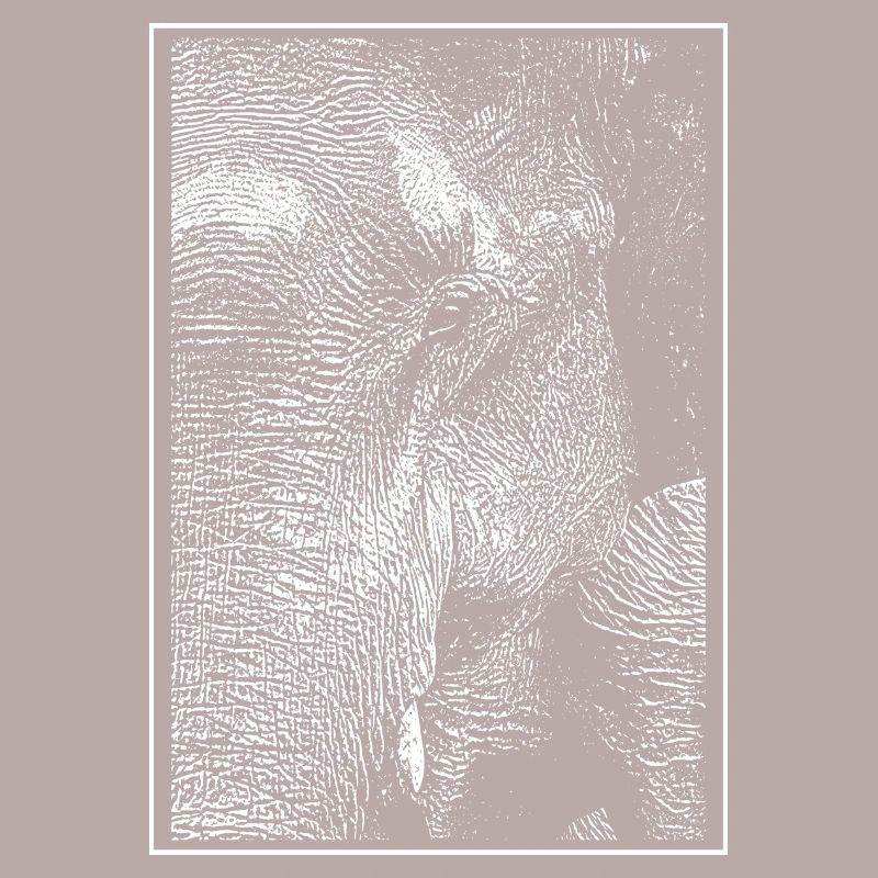 White elephant